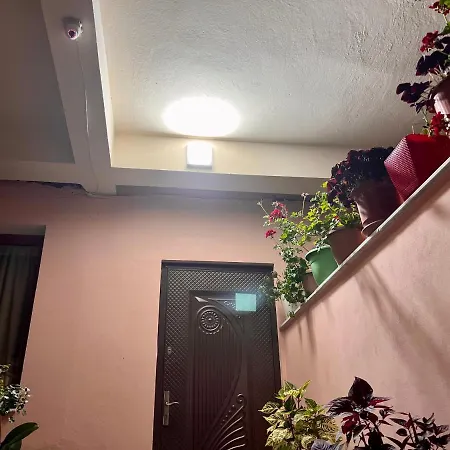 Ensalv - - - Penthouse * Berat