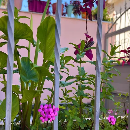 Ensalv - - - Penthouse Guest house *