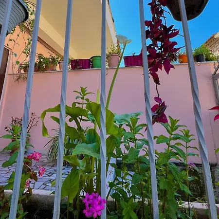 Ensalv - - - Penthouse Berat