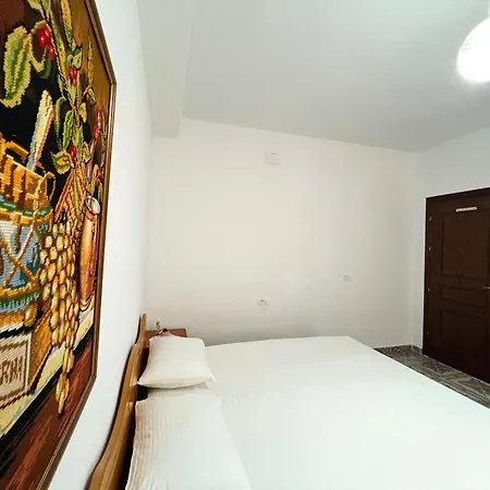 Guest house Ensalv - - - Penthouse Berat