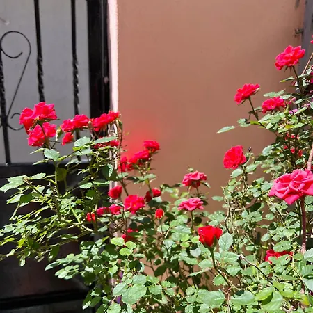 Ensalv - - - Penthouse * Berat