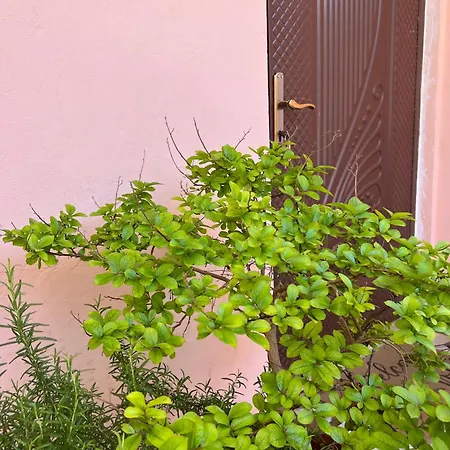 Ensalv - - - Penthouse Guest house *