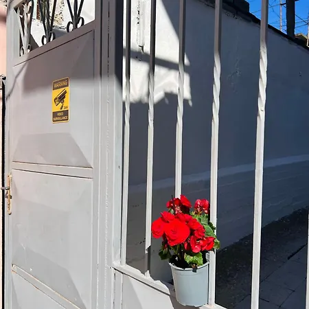 Ensalv - - - Penthouse Berat