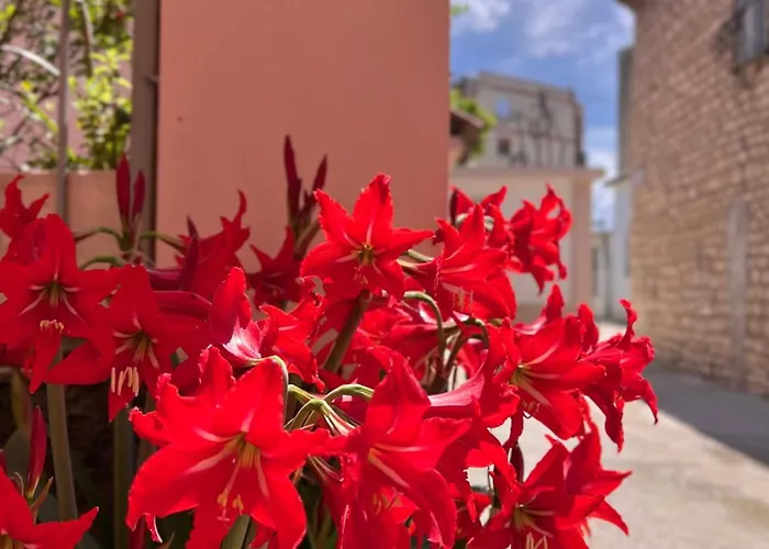 Ensalv - - - Penthouse Berat