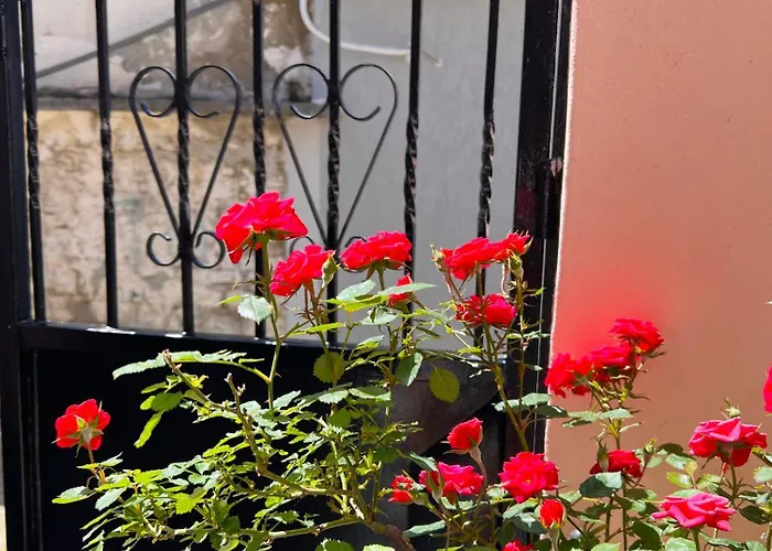 Ensalv - - - Penthouse Guest house 4*